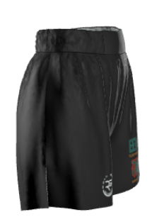 Right side view of Roll Gear Aztec Warrior Fight Shorts for combat sports