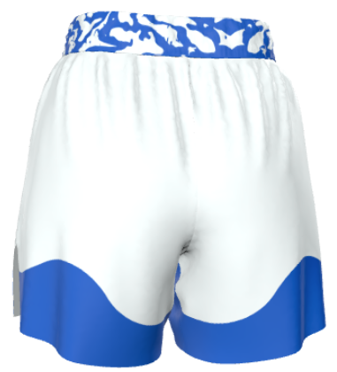 Ranked Grappling Shorts – BJJ, MMA & No-Gi Training Gear | Roll Gear™