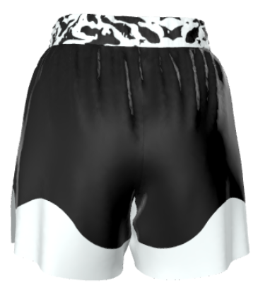 Ranked Grappling Shorts – BJJ, MMA & No-Gi Training Gear | Roll Gear™
